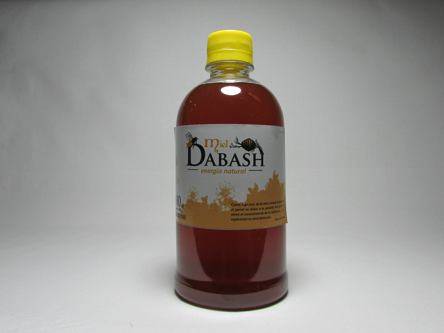 Miel de Abeja Pura - Envase Tradicional